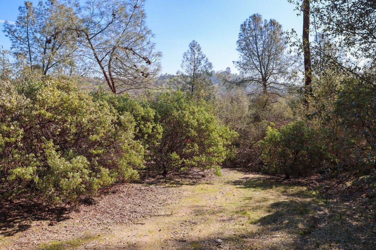 0 6.48 AC Long Hollow Dr, Coarsegold, CA 93614