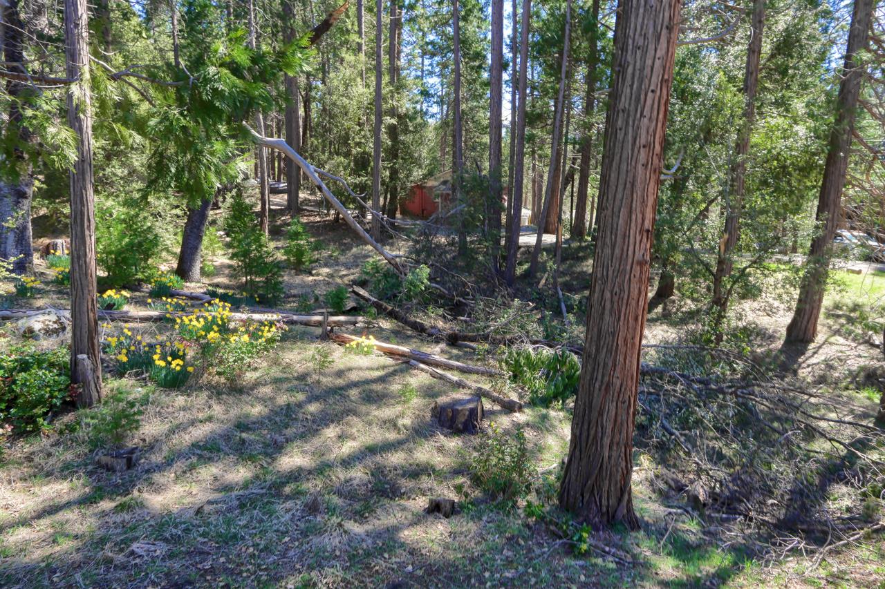 2580 River Rd, Wawona, CA 95389