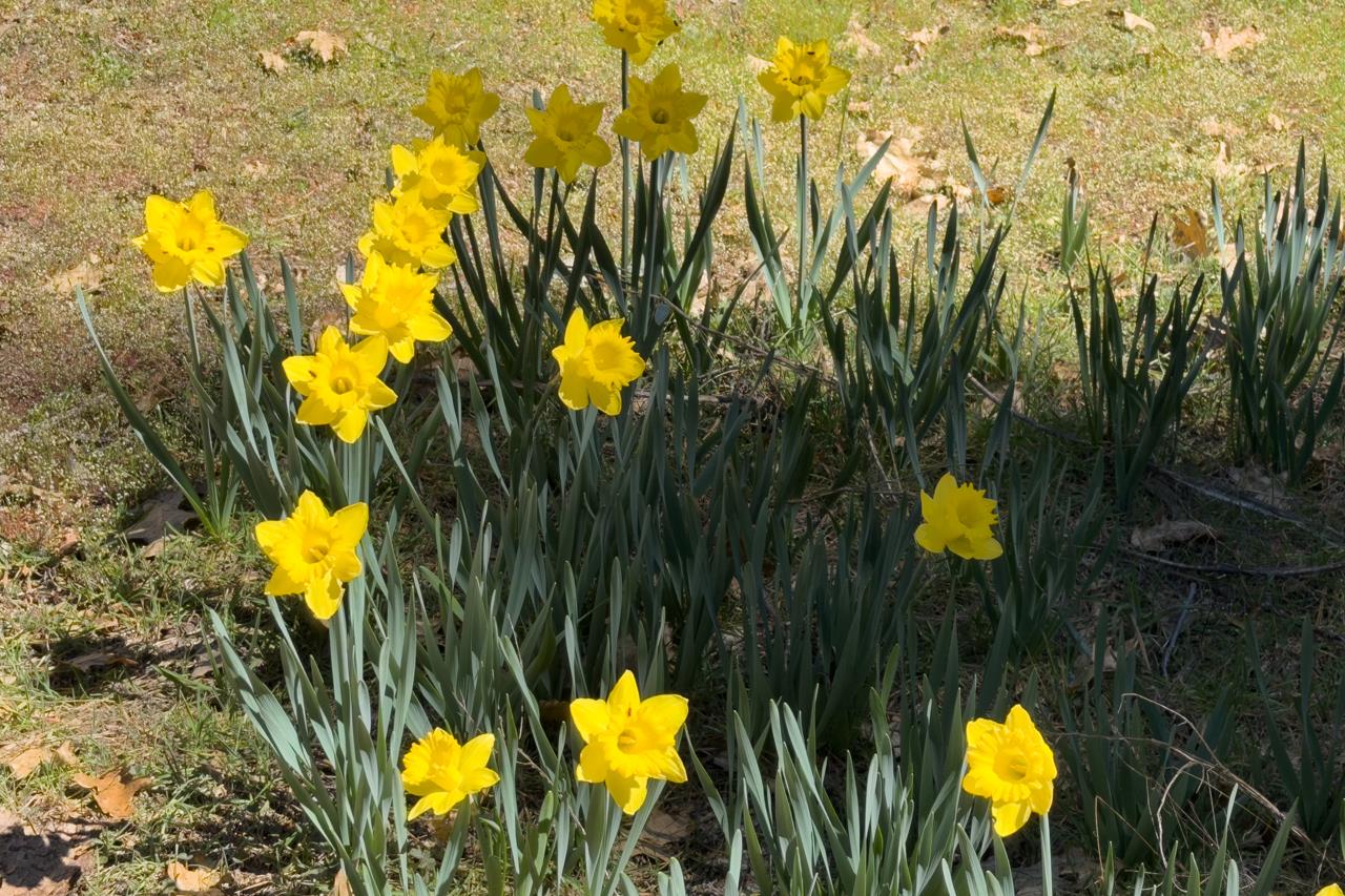 2580 River Rd, Wawona, CA 95389