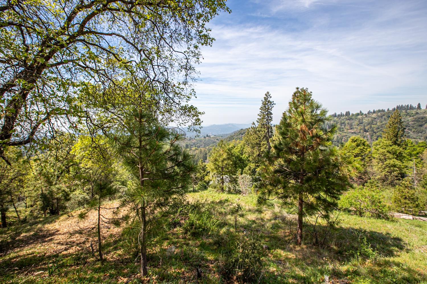 52865 N Highway 245, Miramonte, CA 93641