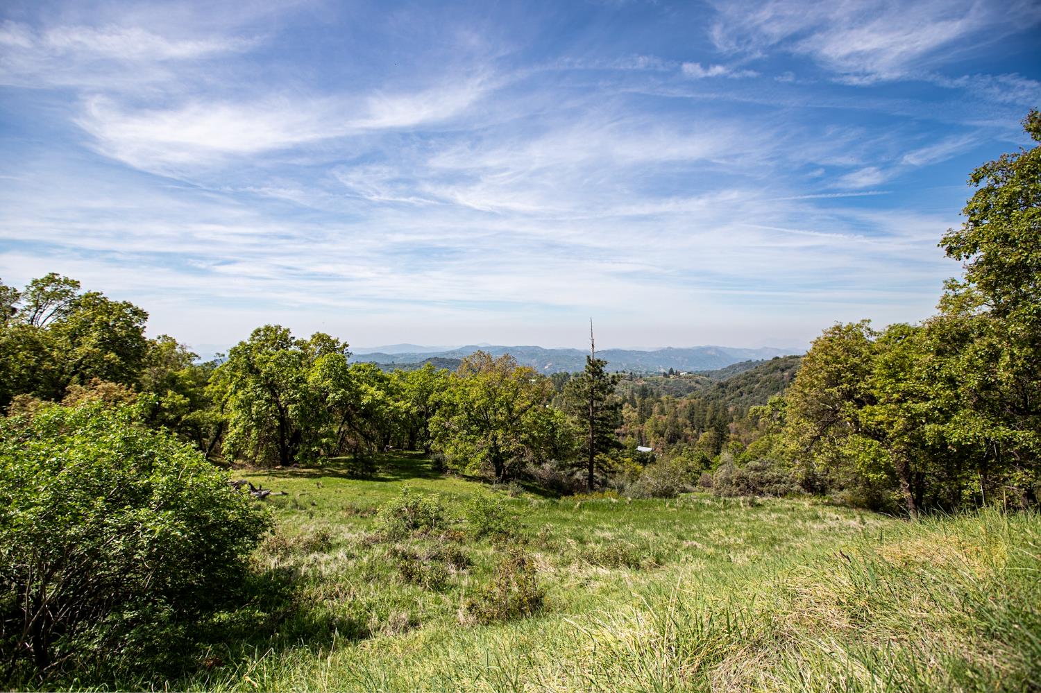 52865 N Highway 245, Miramonte, CA 93641