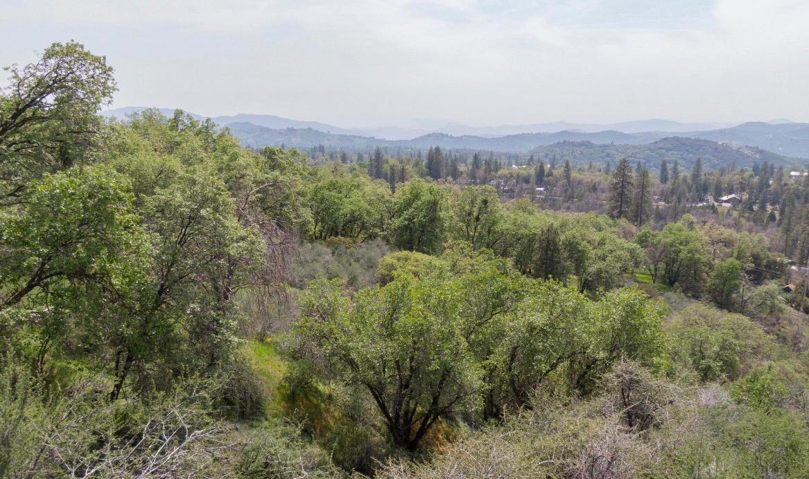 52865 N Highway 245, Miramonte, CA 93641