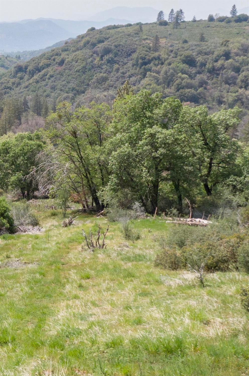 52865 N Highway 245, Miramonte, CA 93641