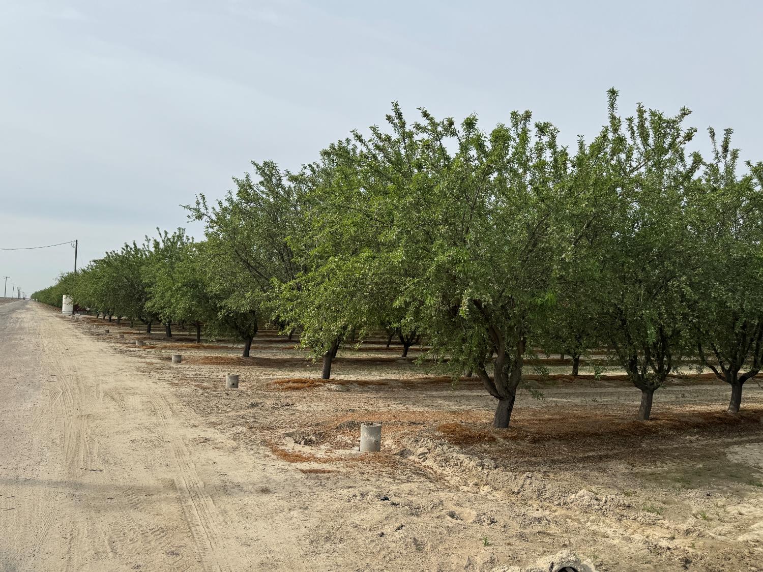 9495 W Kamm Ave, Caruthers, CA 93609