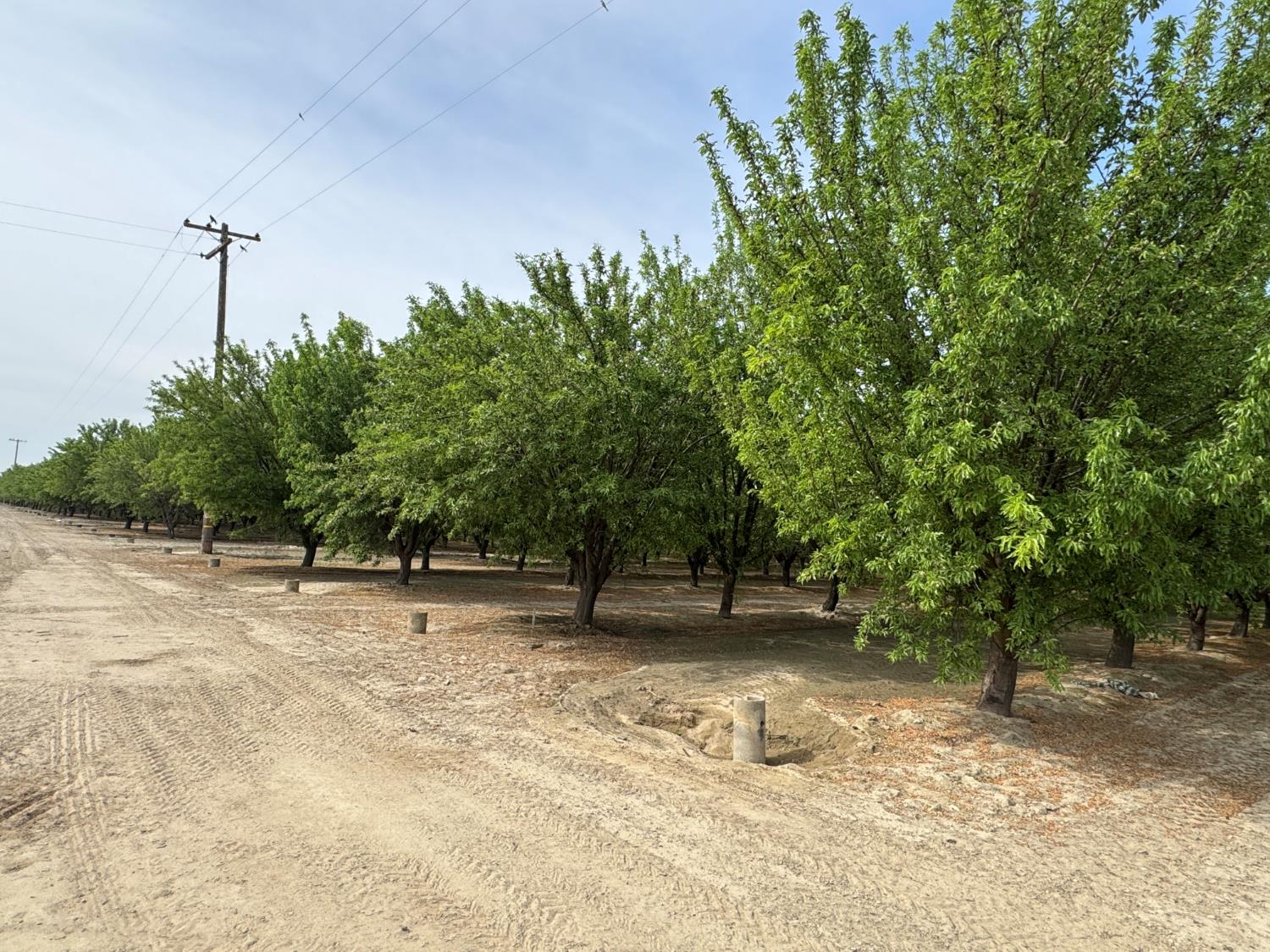 9495 W Kamm Ave, Caruthers, CA 93609