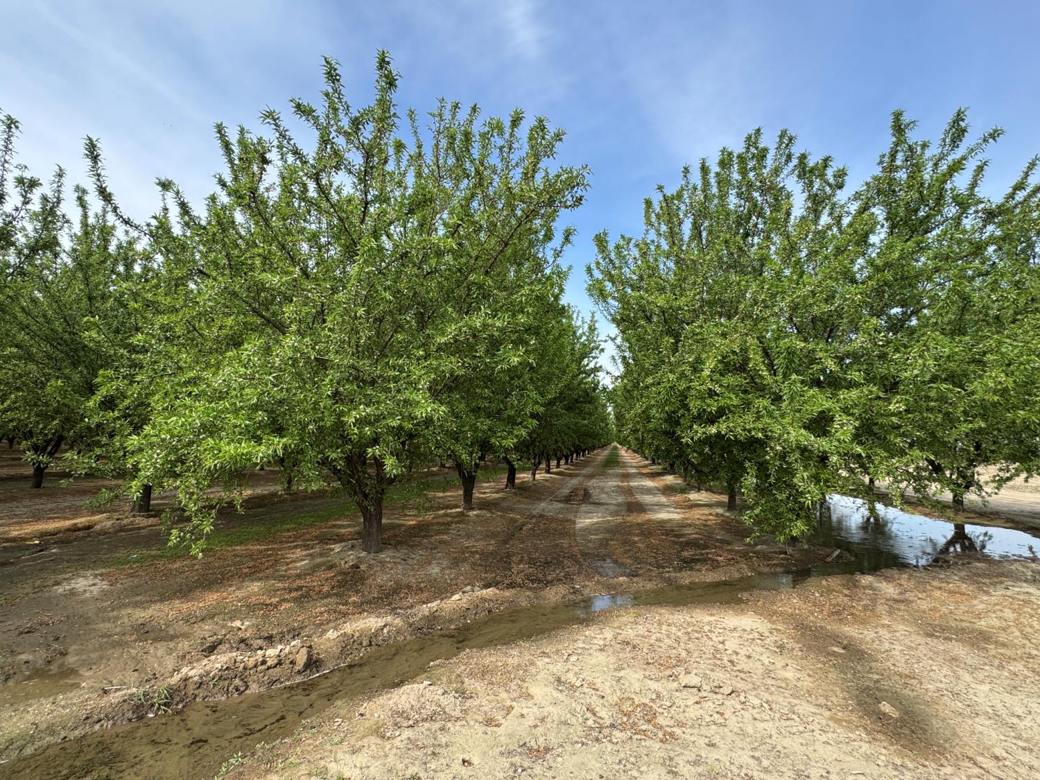 9495 W Kamm Ave, Caruthers, CA 93609