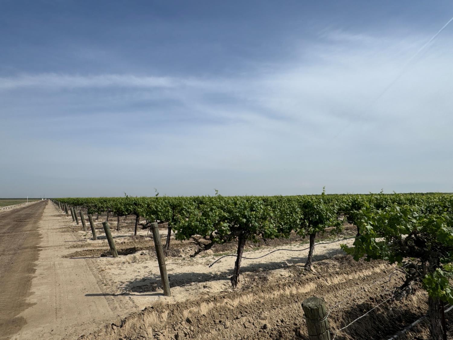 9495 W Kamm Ave, Caruthers, CA 93609