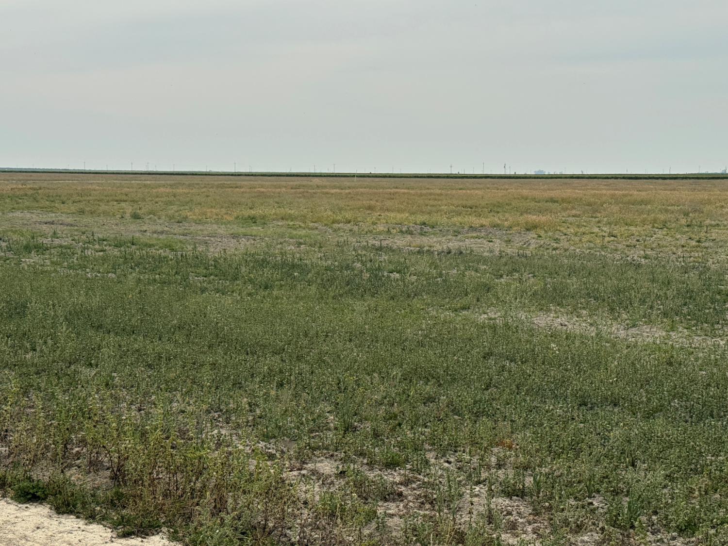 9495 W Kamm Ave, Caruthers, CA 93609