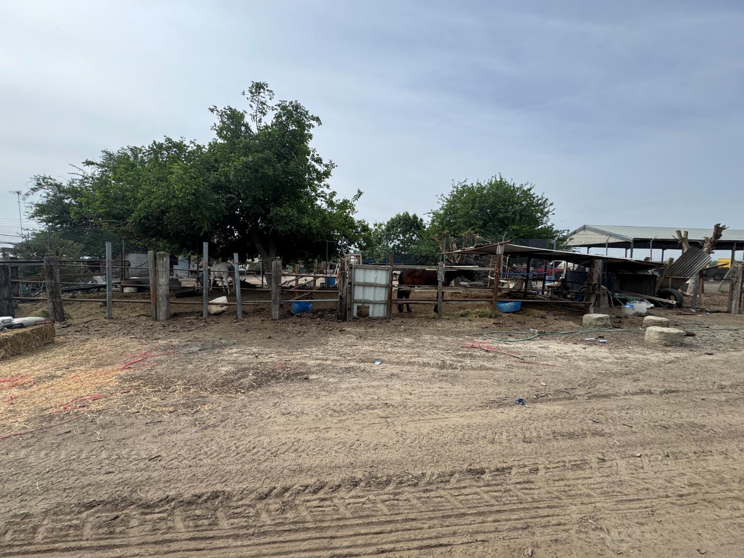 9495 W Kamm Ave, Caruthers, CA 93609