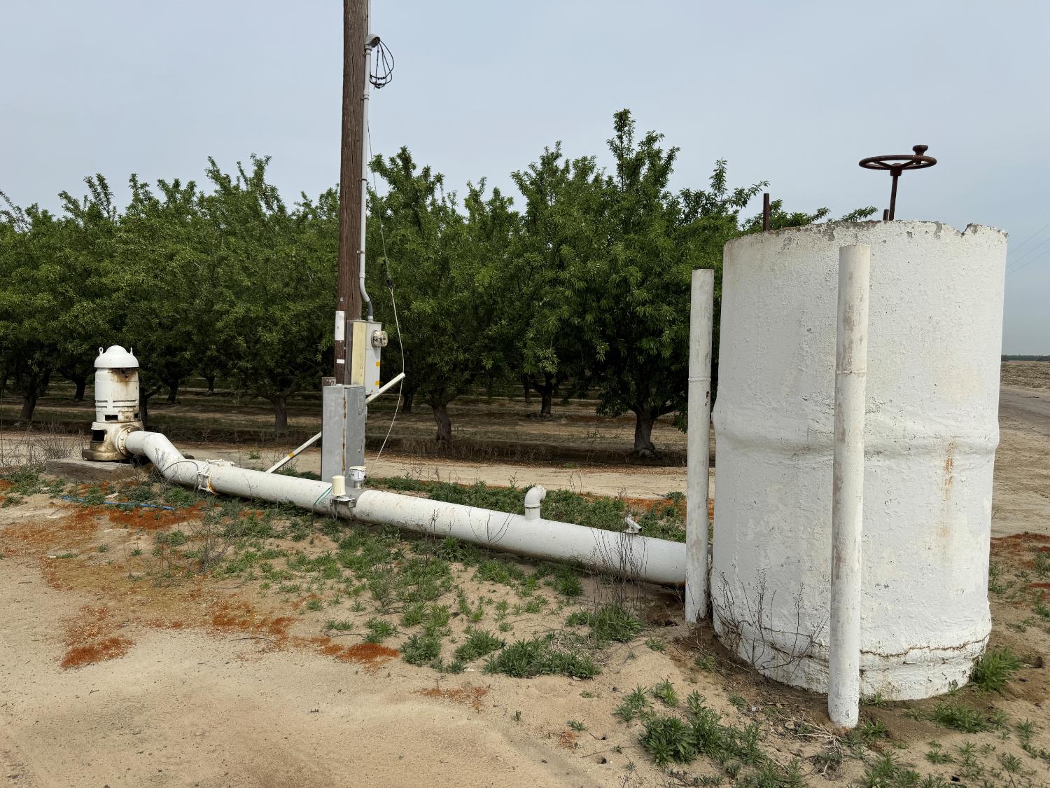 9495 W Kamm Ave, Caruthers, CA 93609