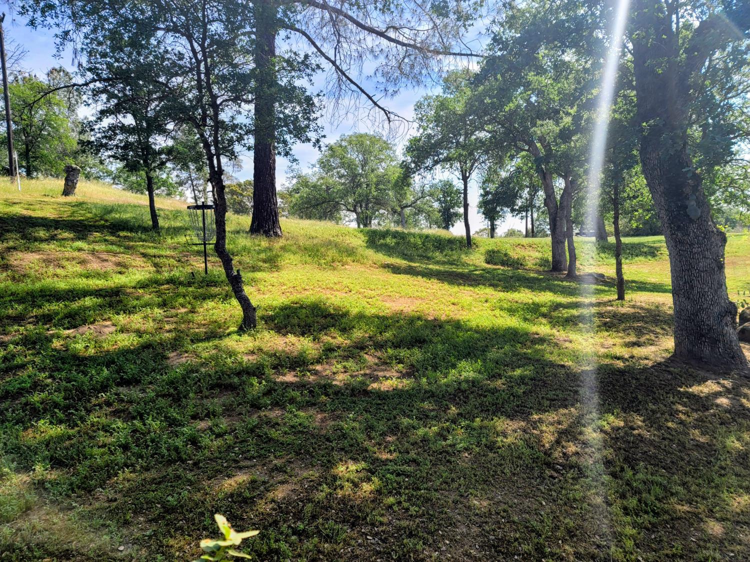 42011 Long Hollow, Coarsegold, CA 93614