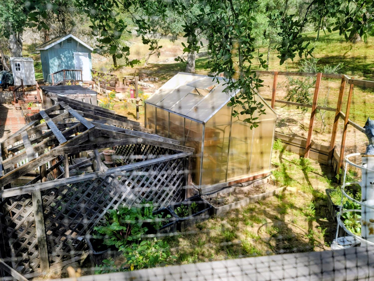 42011 Long Hollow, Coarsegold, CA 93614