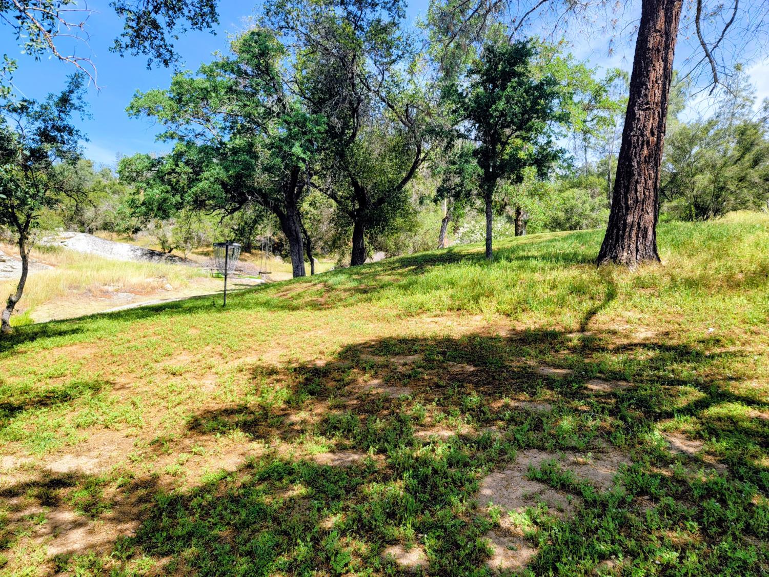 42011 Long Hollow, Coarsegold, CA 93614