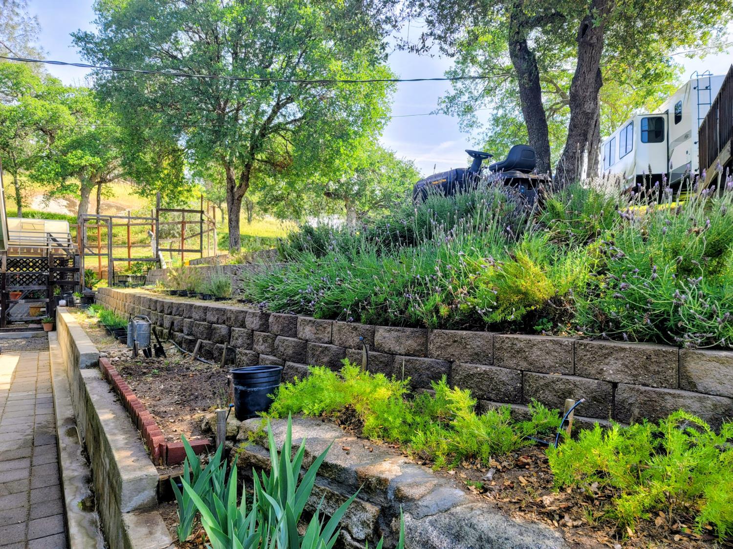 42011 Long Hollow, Coarsegold, CA 93614