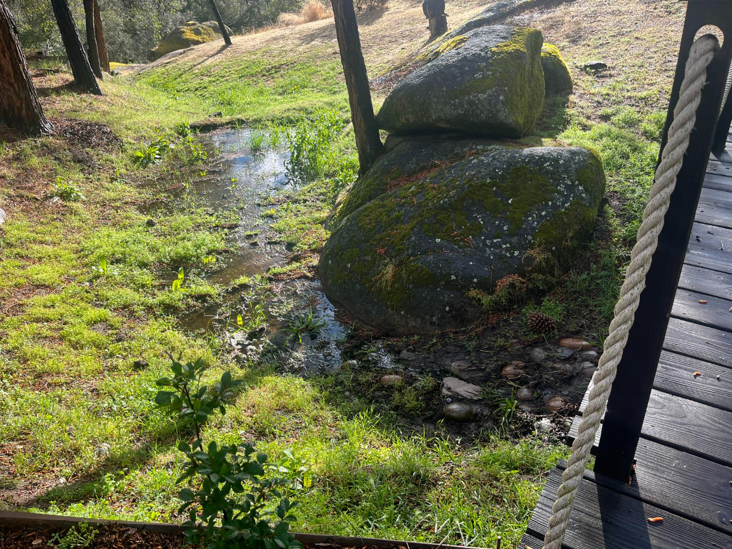 42011 Long Hollow, Coarsegold, CA 93614