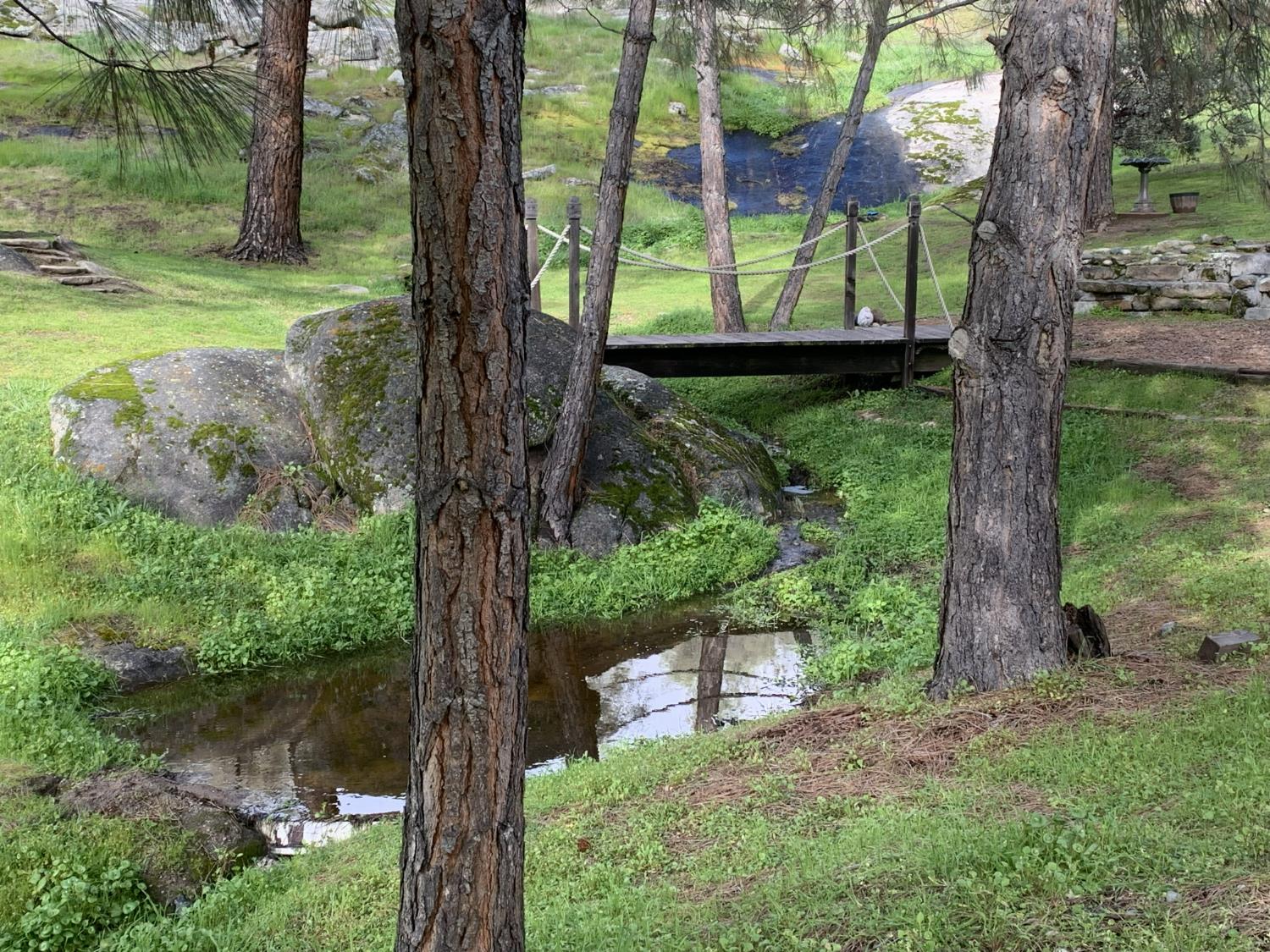 42011 Long Hollow, Coarsegold, CA 93614