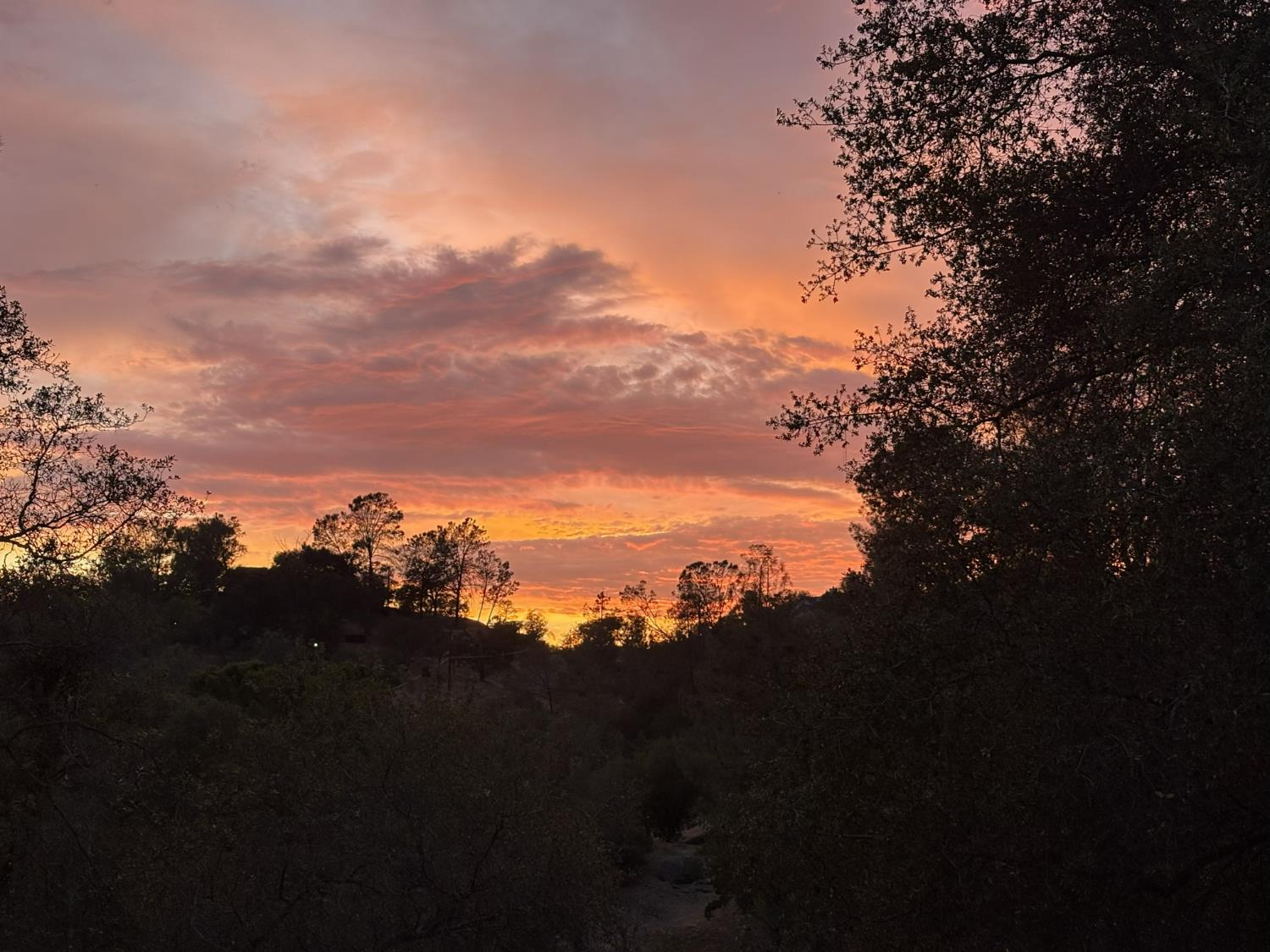 42011 Long Hollow, Coarsegold, CA 93614