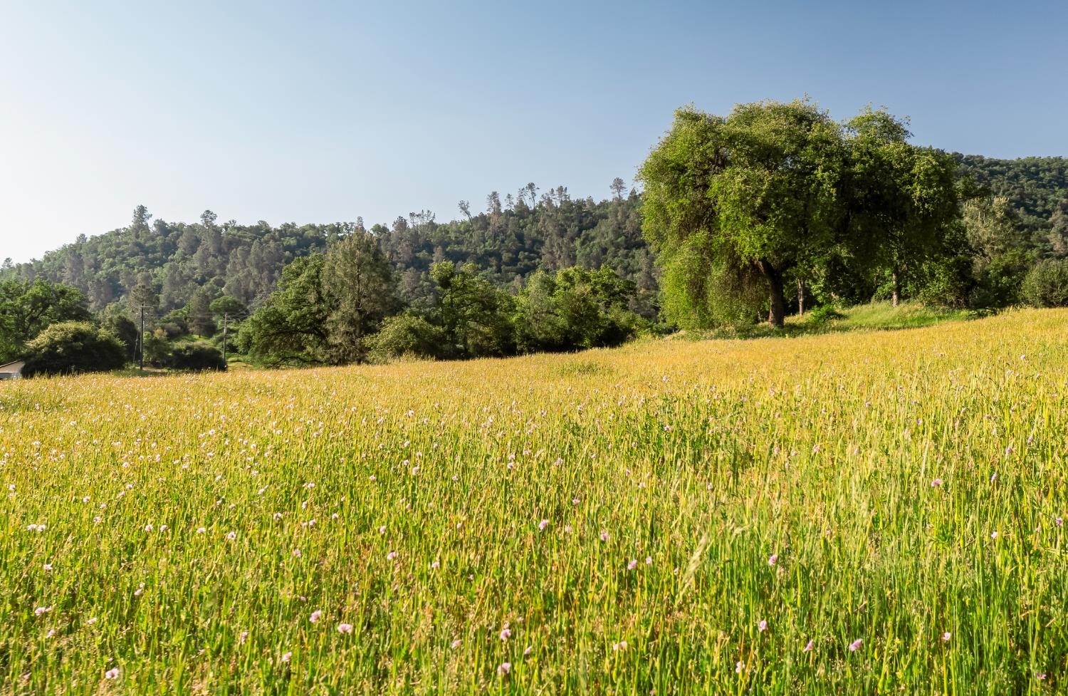 27719 Burrough Valley Rd, Tollhouse, CA 93667