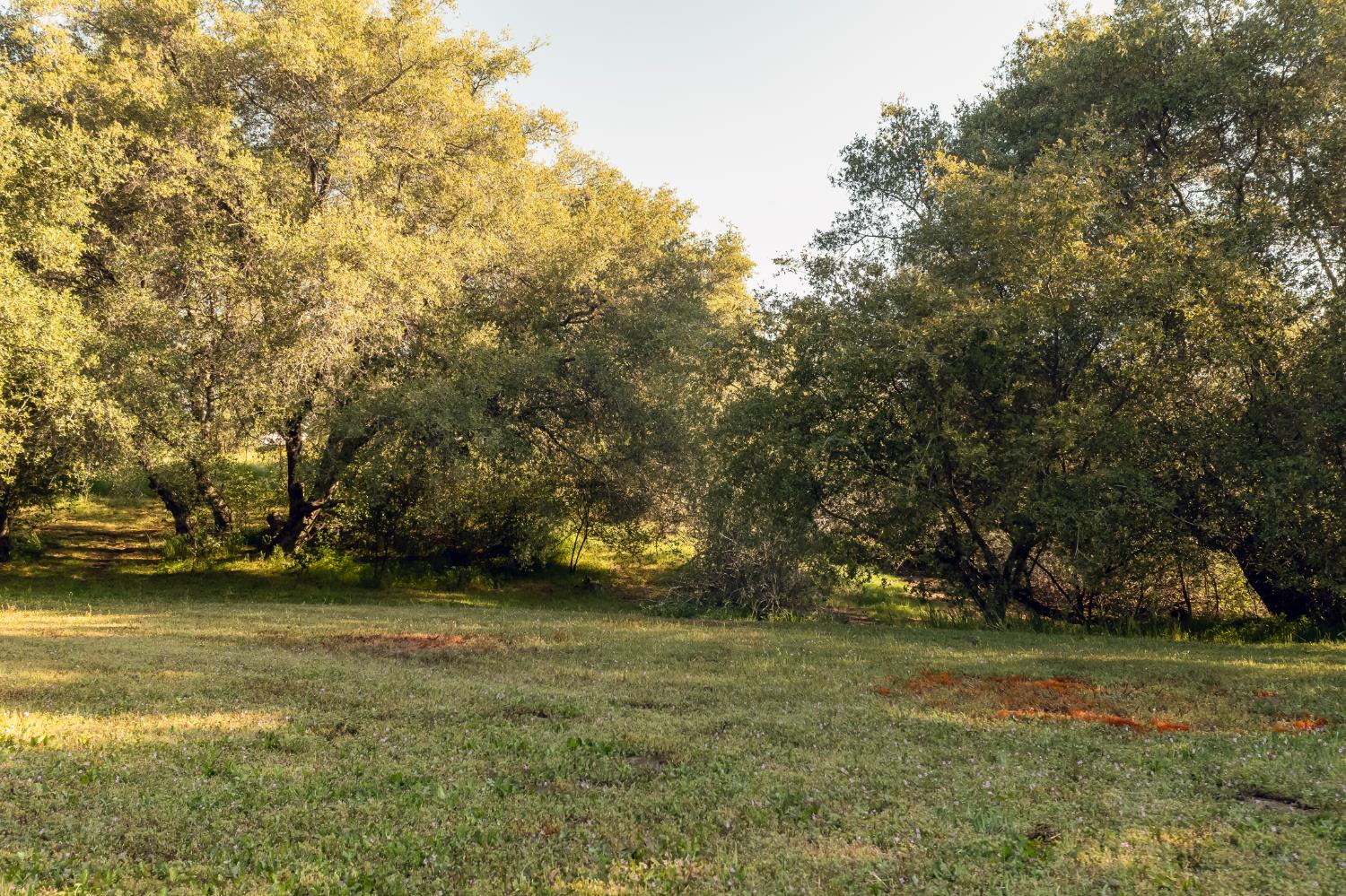 27719 Burrough Valley Rd, Tollhouse, CA 93667