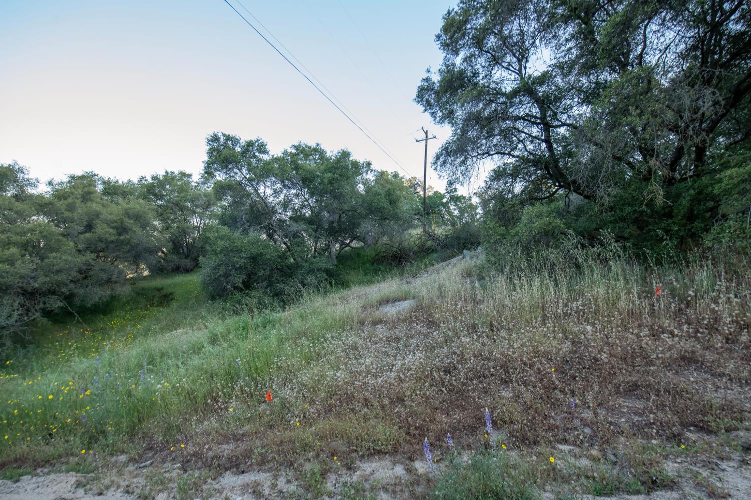 15 Pennyroyal, Prather, CA 93651