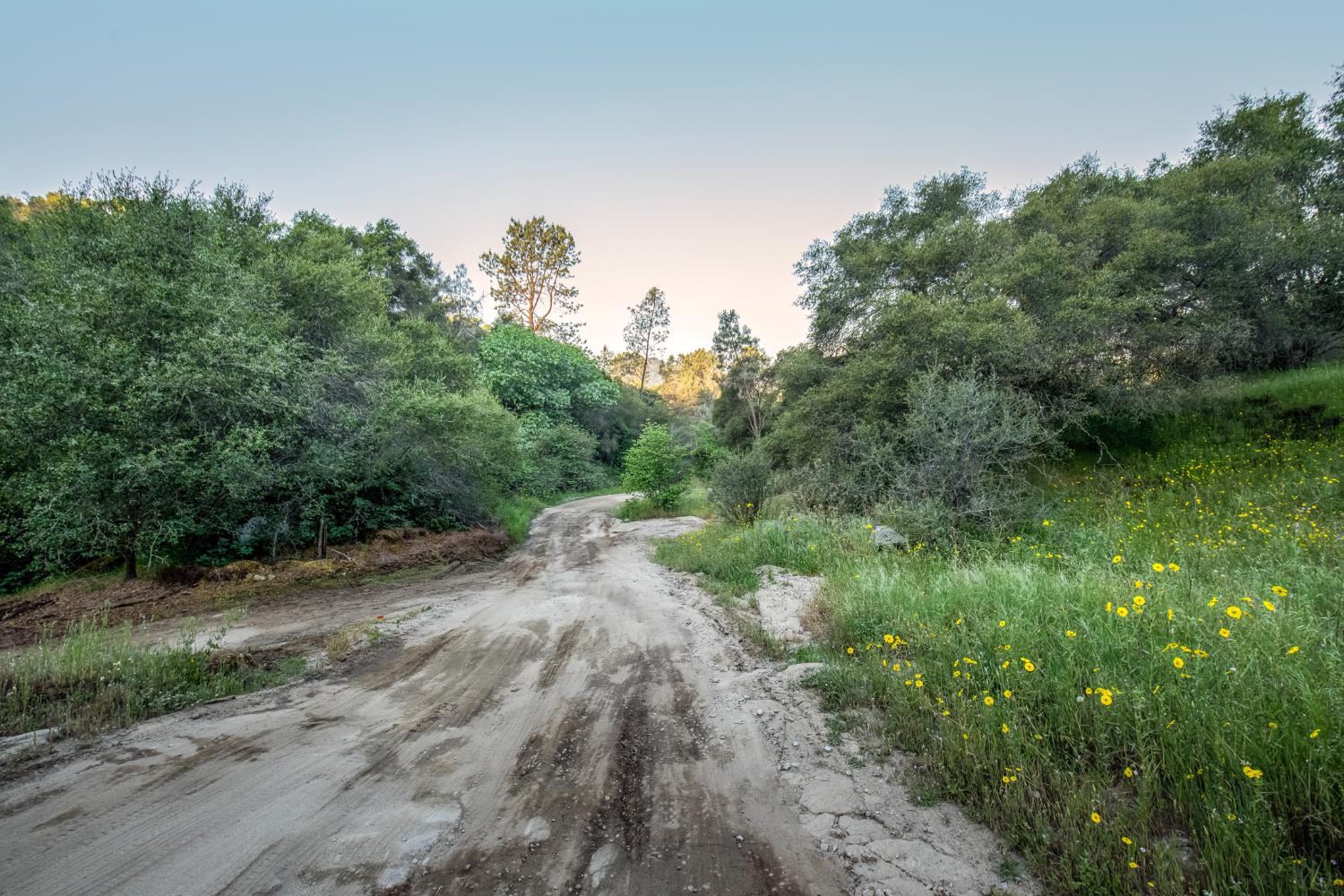 15 Pennyroyal, Prather, CA 93651