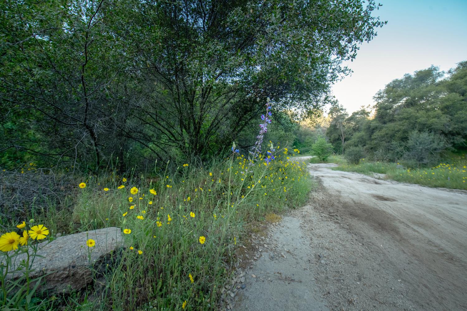 15 Pennyroyal, Prather, CA 93651