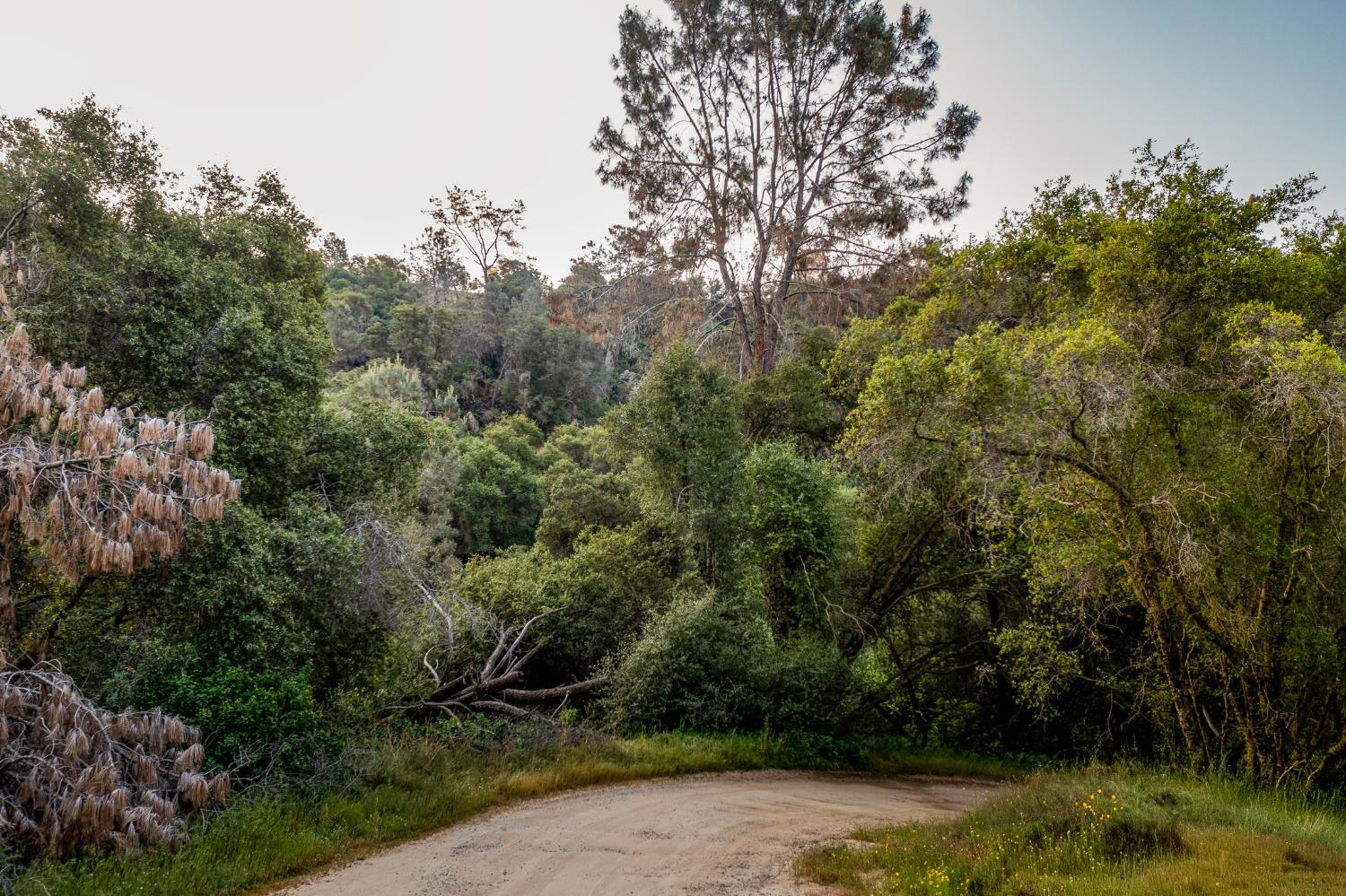 15 Pennyroyal, Prather, CA 93651