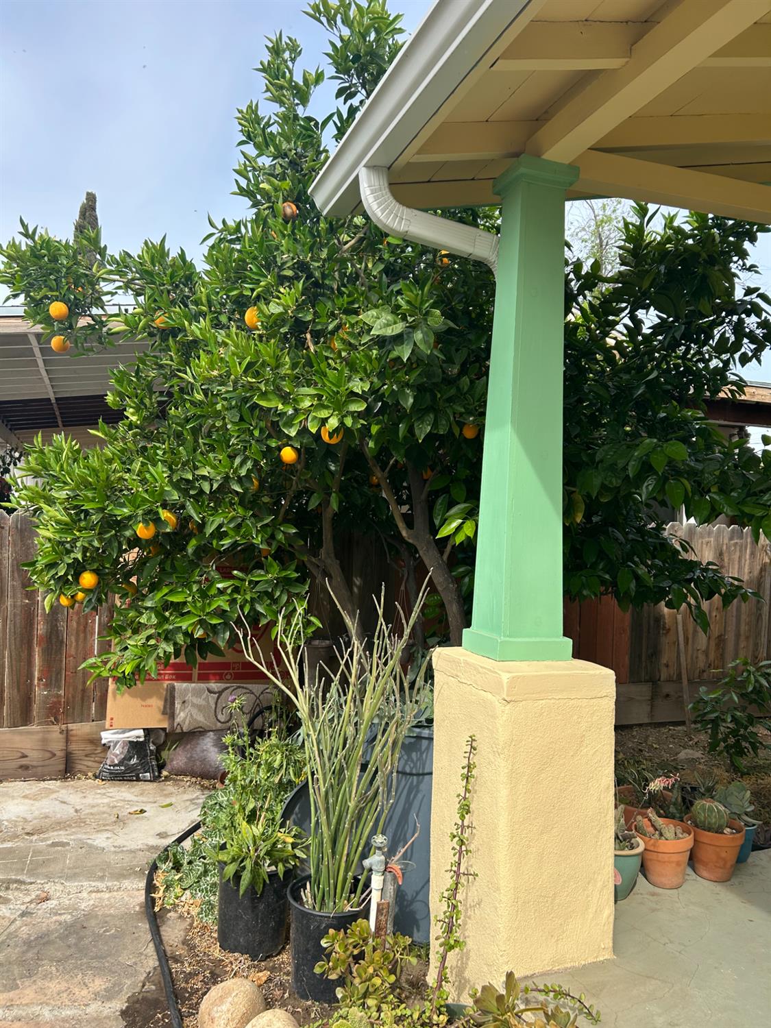 313 E Sacramento St, Coalinga, CA 93210