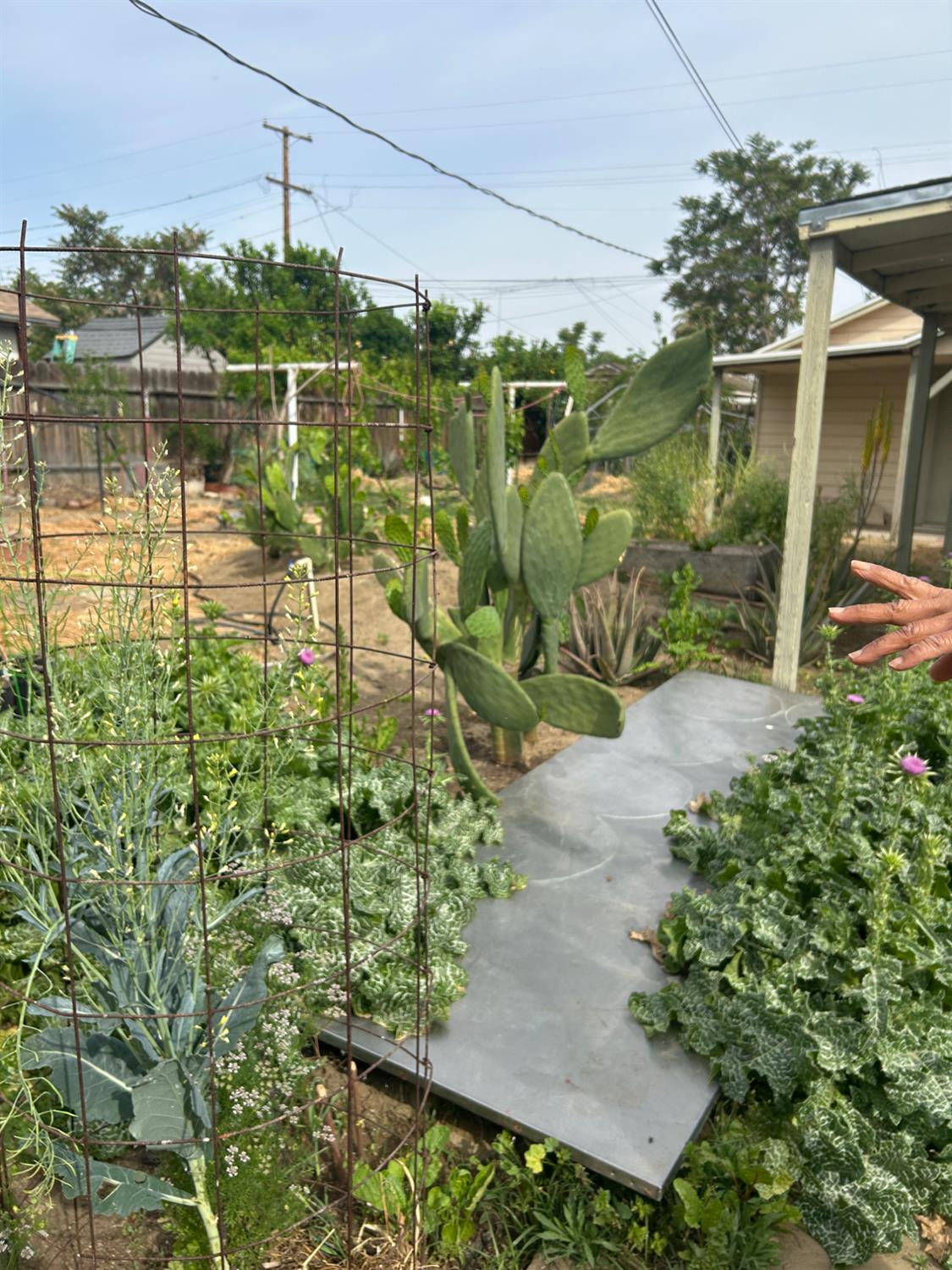 313 E Sacramento St, Coalinga, CA 93210