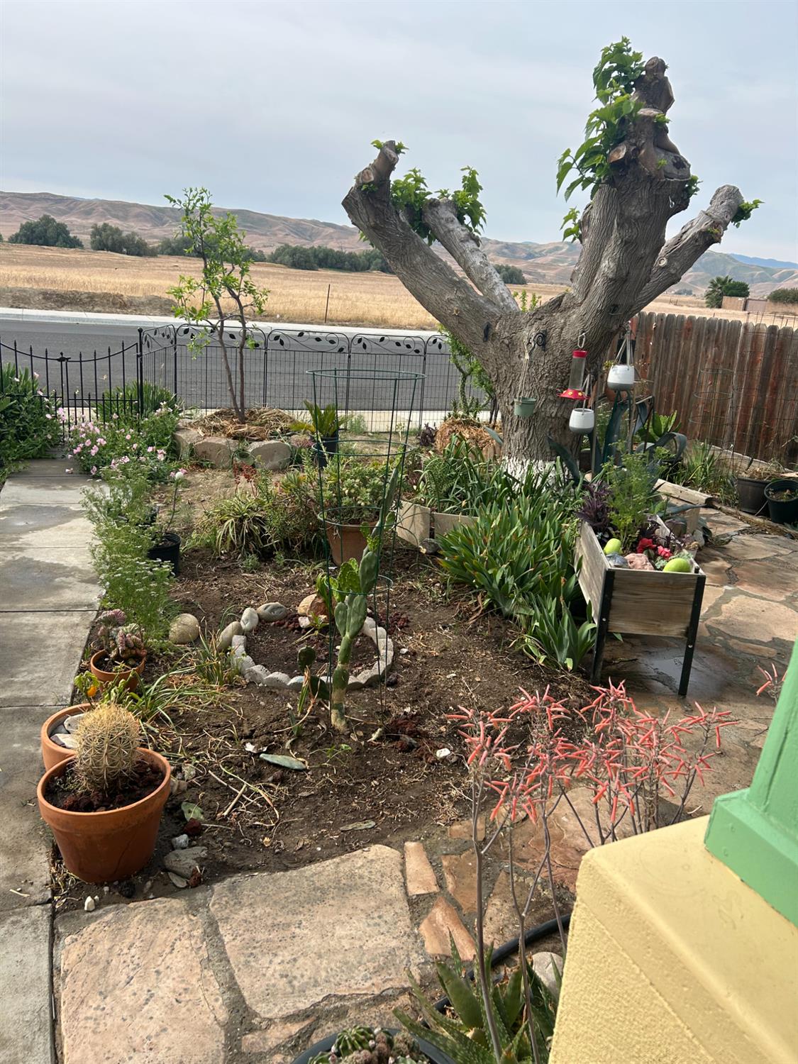 313 E Sacramento St, Coalinga, CA 93210