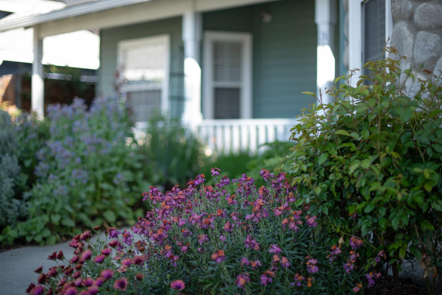 3900 W Allen Ct, Visalia, CA 93291