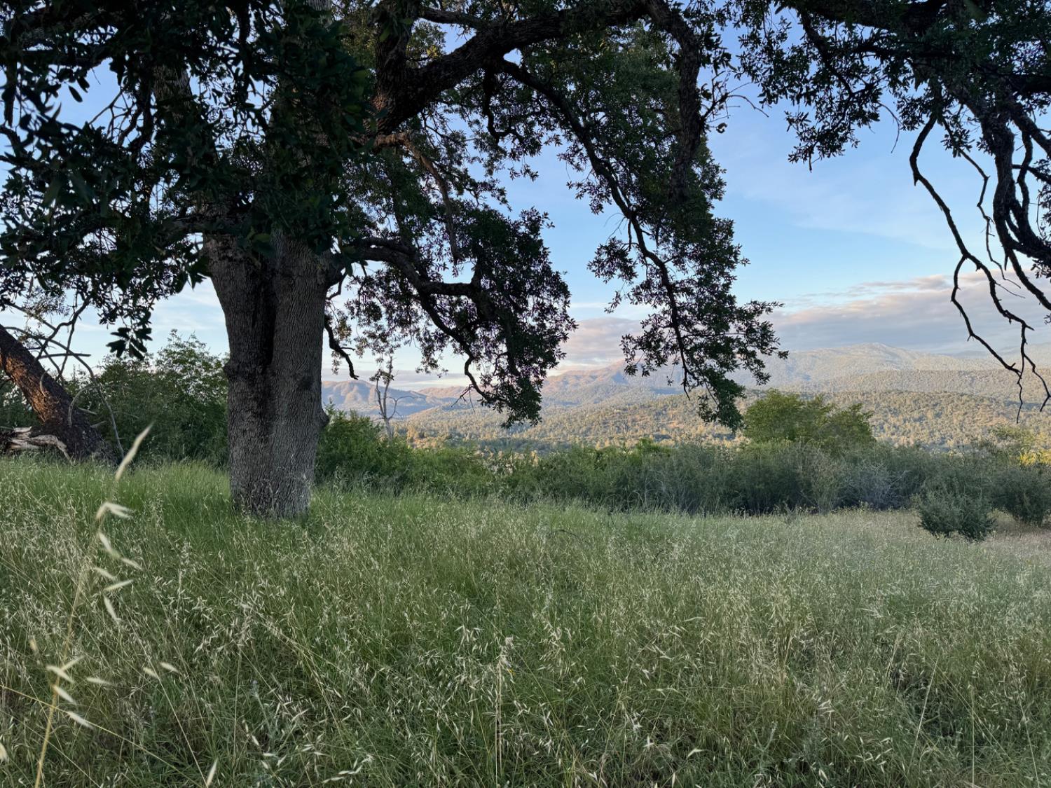 10 Old Oak Ln, Mariposa, CA 95338