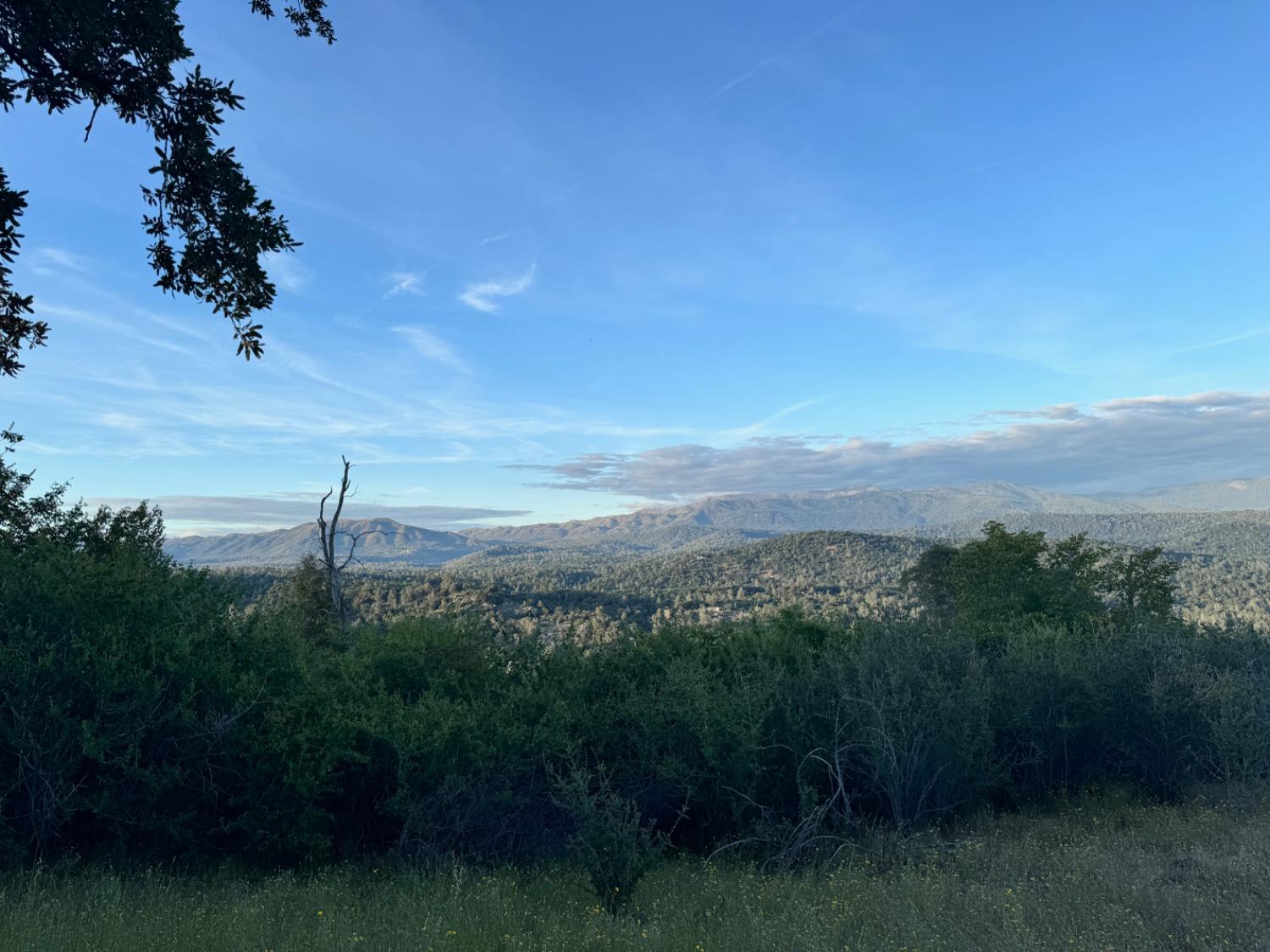 10 Old Oak Ln, Mariposa, CA 95338