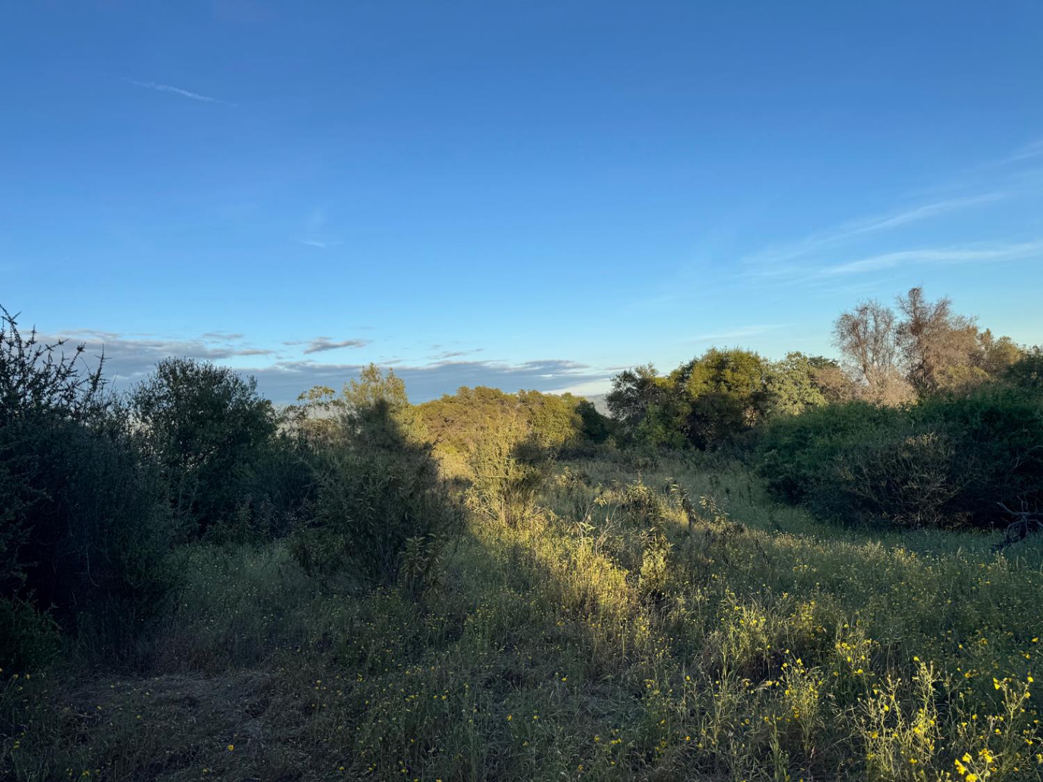 10 Old Oak Ln, Mariposa, CA 95338