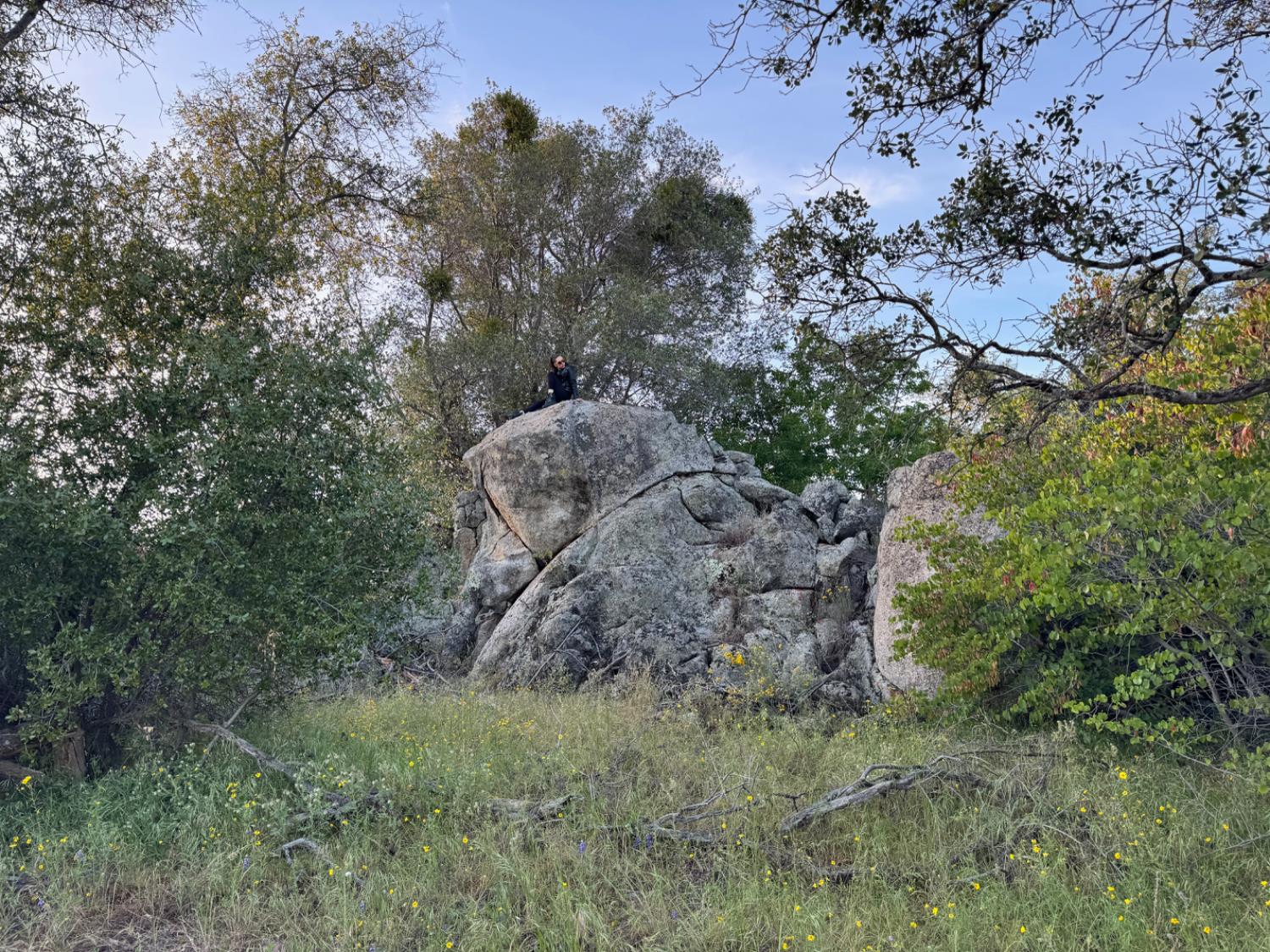 10 Old Oak Ln, Mariposa, CA 95338