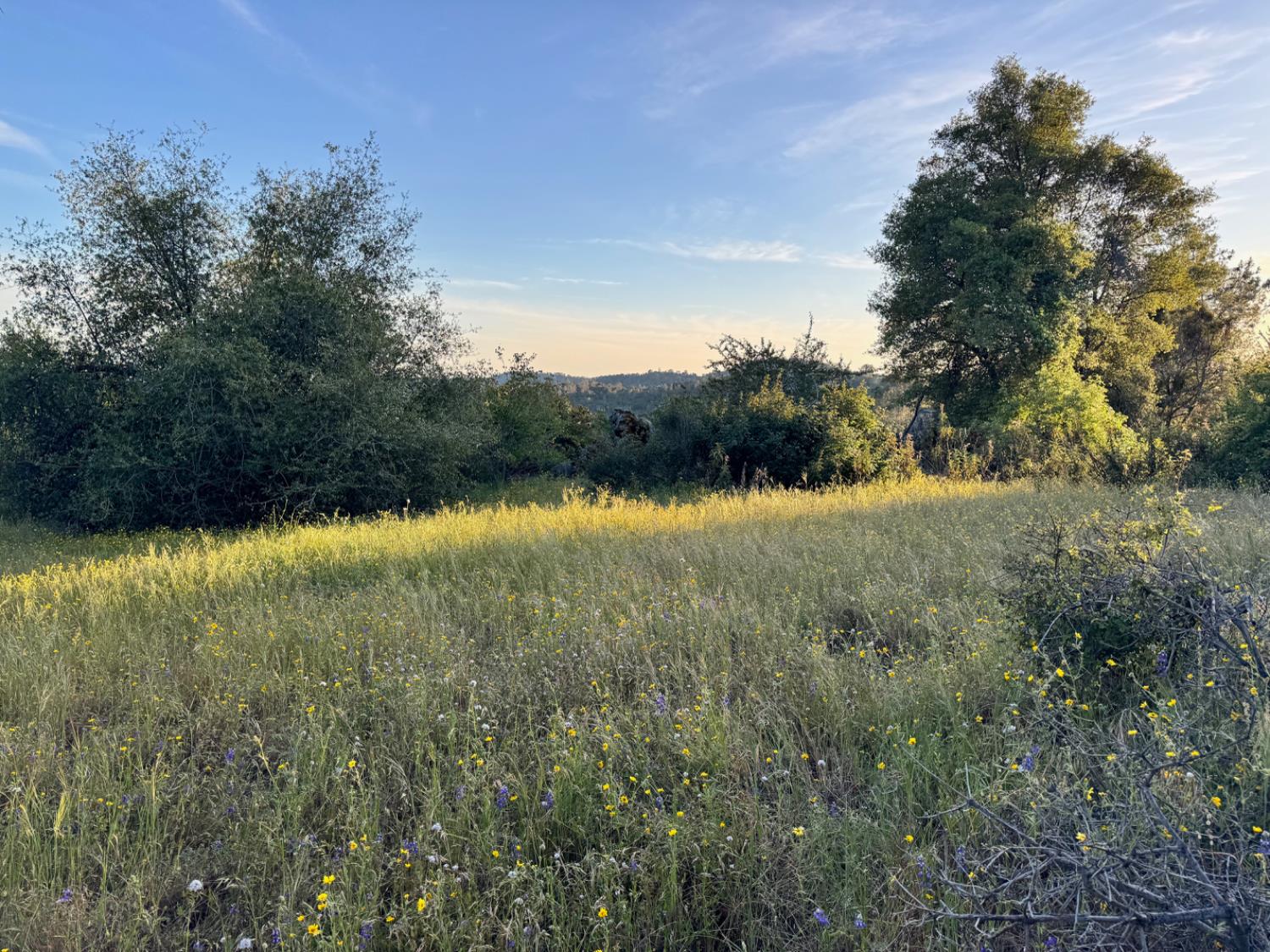 10 Old Oak Ln, Mariposa, CA 95338