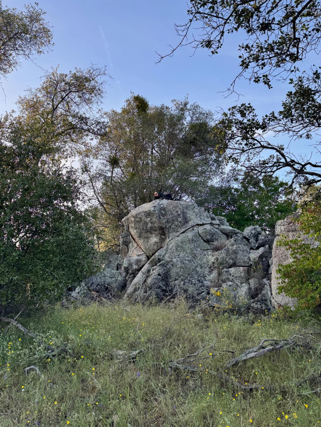 10 Old Oak Ln, Mariposa, CA 95338