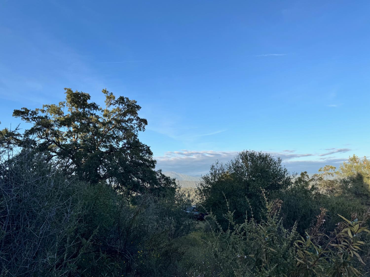 10 Old Oak Ln, Mariposa, CA 95338