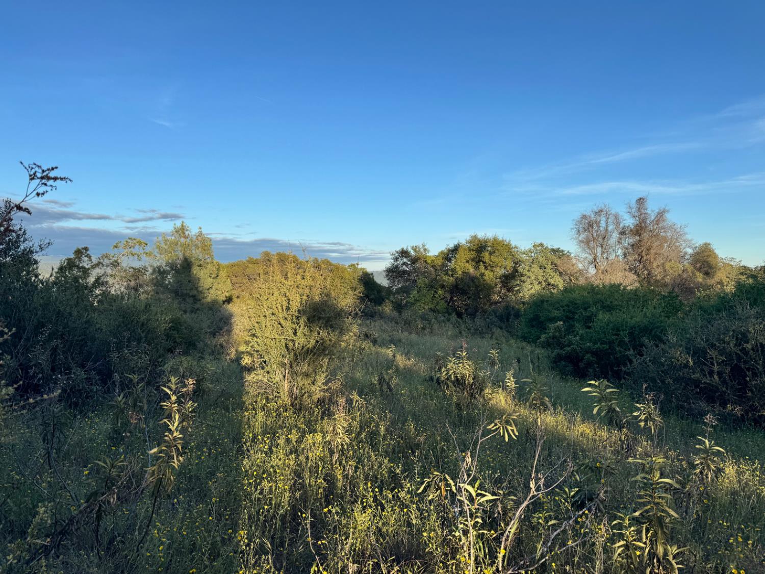 10 Old Oak Ln, Mariposa, CA 95338