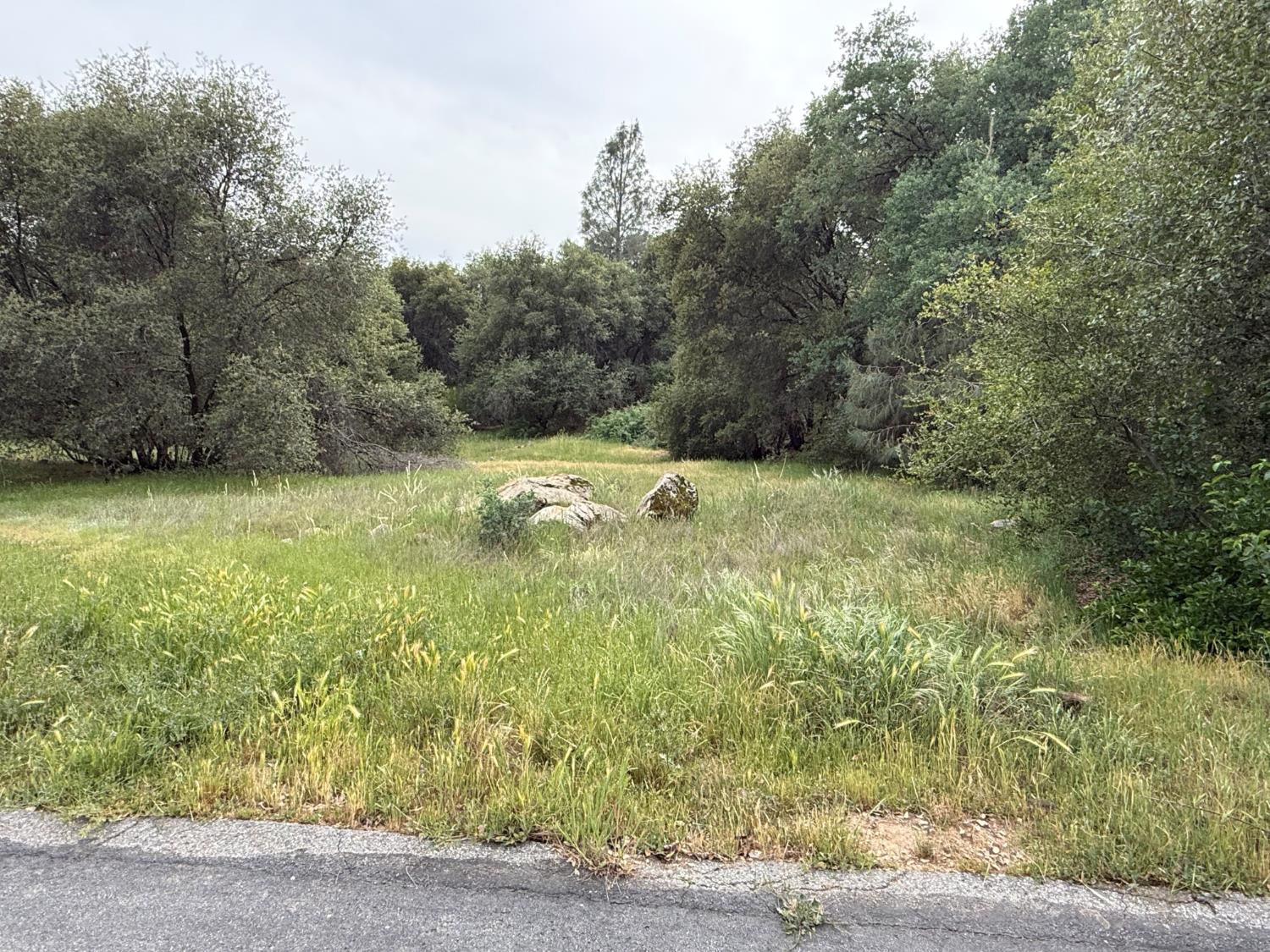 0 Lot #79 Sunshine Terrace Dr, Coarsegold, CA 93614