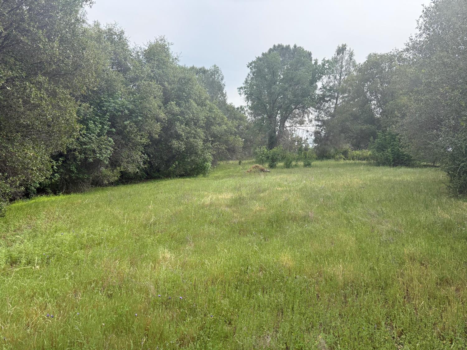 0 Lot #79 Sunshine Terrace Dr, Coarsegold, CA 93614