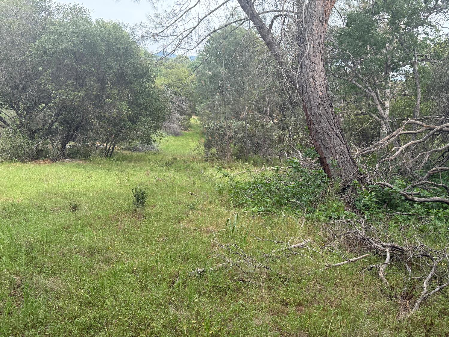 0 Lot #79 Sunshine Terrace Dr, Coarsegold, CA 93614