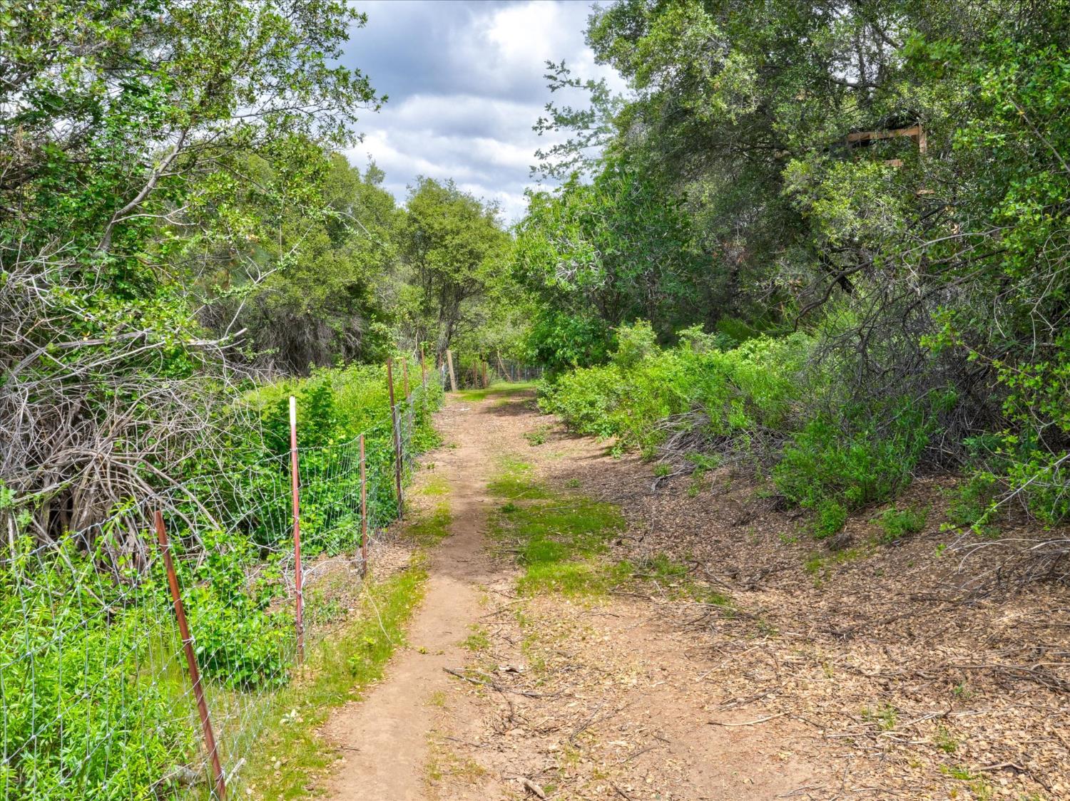 53899 Dogwood Dr, North Fork, CA 93643