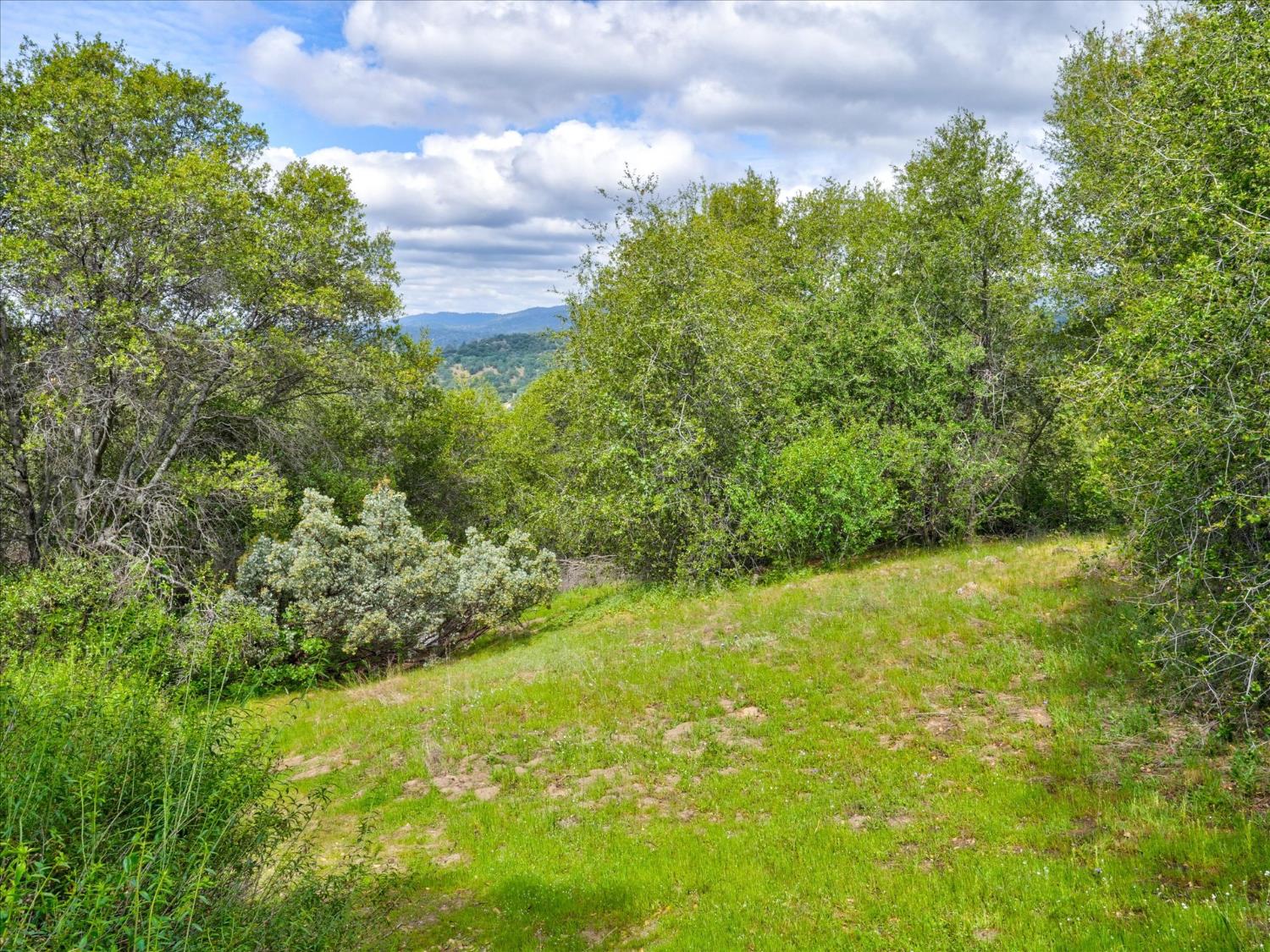 53899 Dogwood Dr, North Fork, CA 93643