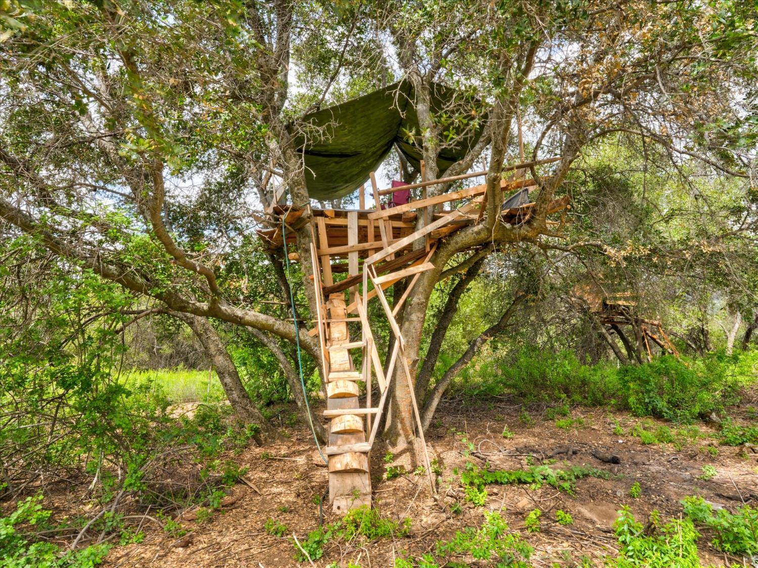 53899 Dogwood Dr, North Fork, CA 93643