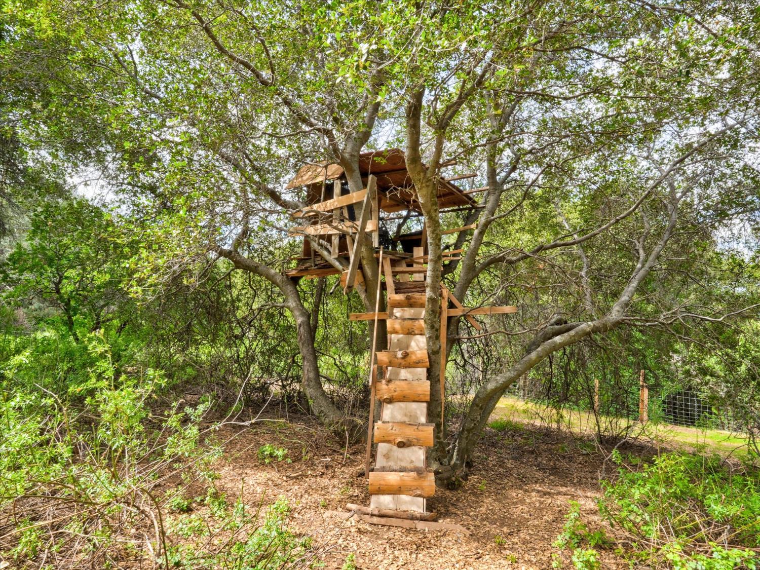 53899 Dogwood Dr, North Fork, CA 93643