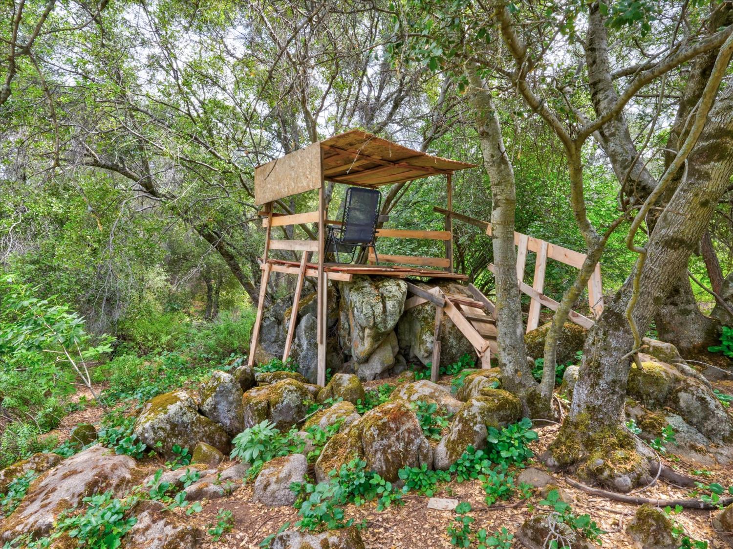 53899 Dogwood Dr, North Fork, CA 93643