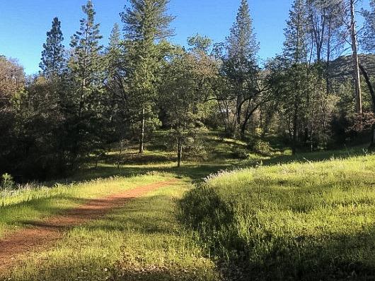 4743 Buffalo Gulch Road, Midpines, CA 95345