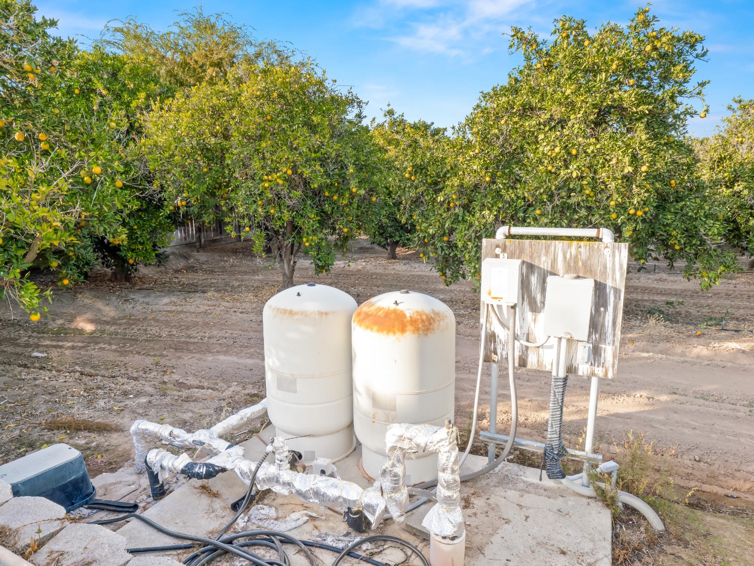 16787 Paula Rd, Madera, CA 93636