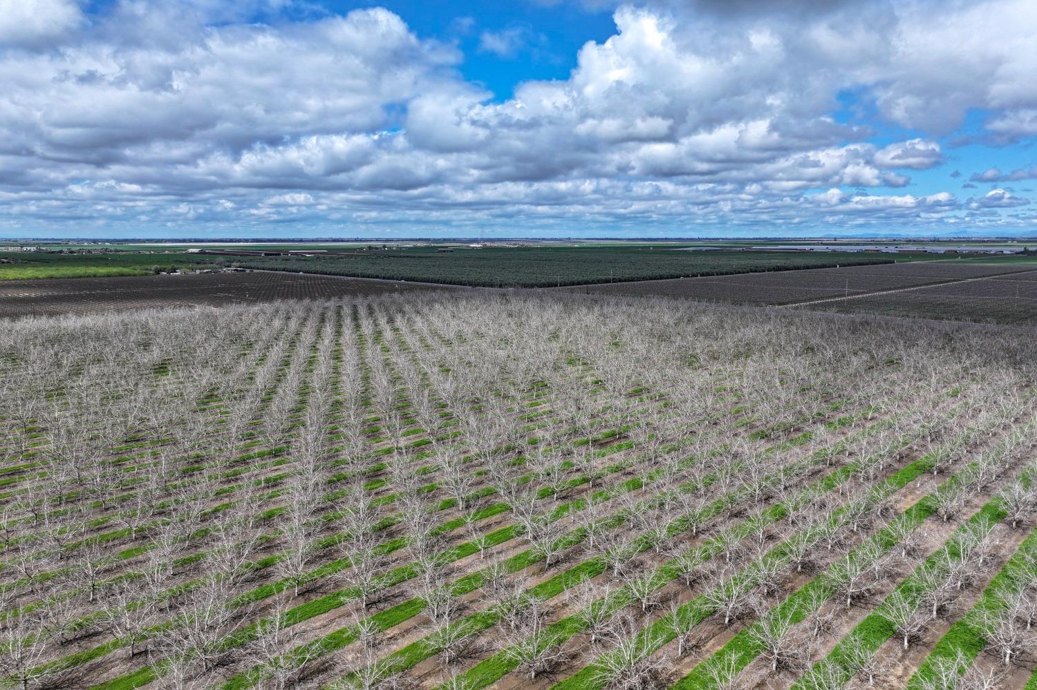 18995 Avenue 232, Lindsay, CA 93247